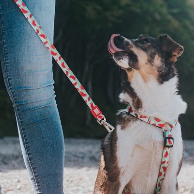 Max & Molly Watermelon Multifunctional Lead 8 Max & Molly Watermelon Multifunctional Lead - Image 6