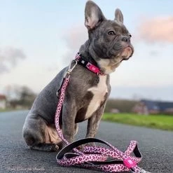 Max & Molly Pink Leopard Short Lead -Zooplus Sales Shop 190421 maxnmolly kurzleine leopardpink hs 02 7