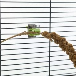 JR FARM JR Birds Foxtail Millet, Yellow -Zooplus Sales Shop 191183 savic pincer2 2