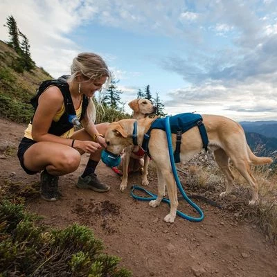 Ruffwear Switchbak Harness - Blue Moon - Image 2
