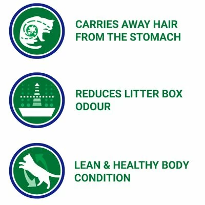 Purina ONE Indoor Turkey & Whole Grains Dry Cat Food 9 Purina ONE Indoor Turkey & Whole Grains Dry Cat Food - Image 7