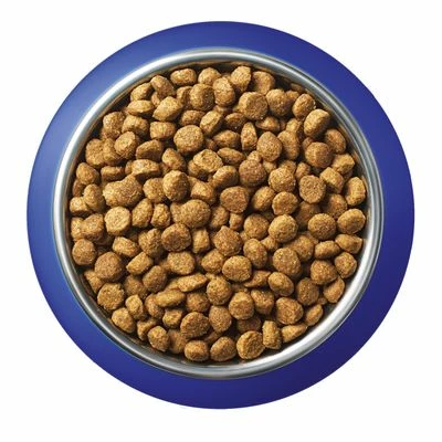 Purina ONE Indoor Turkey & Whole Grains Dry Cat Food 8 Purina ONE Indoor Turkey & Whole Grains Dry Cat Food - Image 6