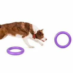 Ferplast Puller Dog Toy -Zooplus Sales Shop 199296 ferplastitalien ferplast hundespielzeug puller midi 27cm hs 06 1