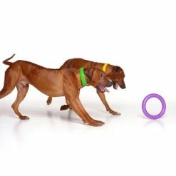 Ferplast Puller Dog Toy -Zooplus Sales Shop 199296 ferplastitalien ferplast hundespielzeug puller midi 27cm hs 08 9