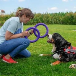 Ferplast Puller Dog Toy -Zooplus Sales Shop 199296 ferplastitalien ferplast hundespielzeug puller midi 27cm hs 11 7