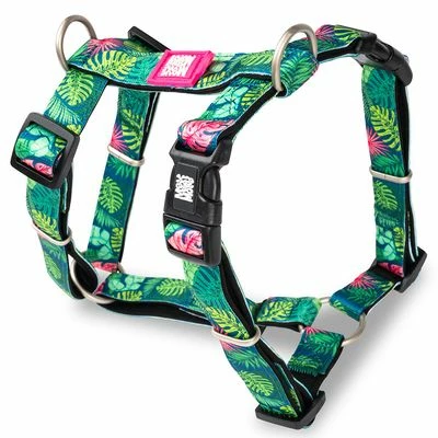 Max & Molly Tropical H-Harness