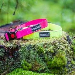Rukka® Set: Bliss Neon Collar & Leash -Zooplus Sales Shop 1 331496 331596 331696 331697 rukka bliss neon halsband pink hs 02 5