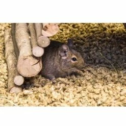 Bunny Bedding Cosy -Zooplus Sales Shop 1 73379 bunny beddingcosy hs 02 8