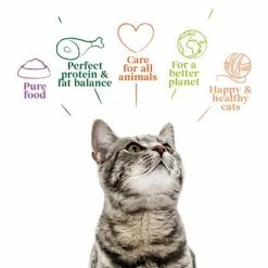 Yarrah Organic Fillets In Sauce 14 X 85g -Zooplus Sales Shop 1 8136 cat pouch chicken 85g 8714265000829 2 3