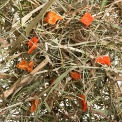 3kg Greenwoods Meadow Hay Mixed Trial Pack 13 3kg Greenwoods Meadow Hay Mixed Trial Pack -Zooplus Sales Shop 1 greenwoods heu karotte 6