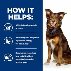 Hill's Prescription Diet Canine Metabolic Weight Management - Lamb & Rice 14 Hill's Prescription Diet Canine Metabolic Weight Management - Lamb & Rice -Zooplus Sales Shop 1 pd merabolic dog bk32929 bk27893m bk32064m bk21343 bk21344 how helps uk 6
