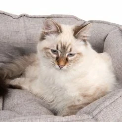 Batumi Cat Bed 13 Batumi Cat Bed -Zooplus Sales Shop 203335 batumi und katze fg 9812 0