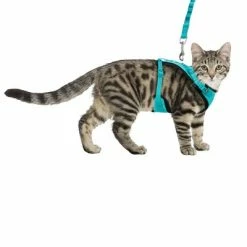 Trixie Mesh Y-Harness With Elastic Leash -Zooplus Sales Shop 203970 trixie mesh ygeschirr elastischerleine hs 05 7
