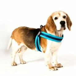 Max & Molly Q-Fit Harness Matrix Sky Blue -Zooplus Sales Shop 209043 209044 210597 209045 210696 210697 maxnmolly qfit g eschirr matrix himmelblau hs 07 8