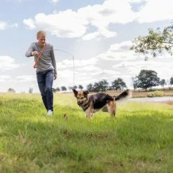 Trixie Bait Trap -Zooplus Sales Shop 209093 trixie reizangel hs 08 7