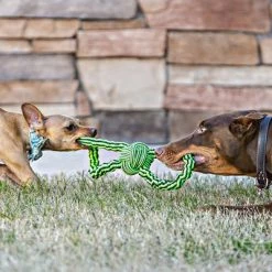 Jolly Pets Knot-N-Chew 5 Jolly Pets Knot-N-Chew -Zooplus Sales Shop 211196 schulze jolly pets knotnchew hs 02 7