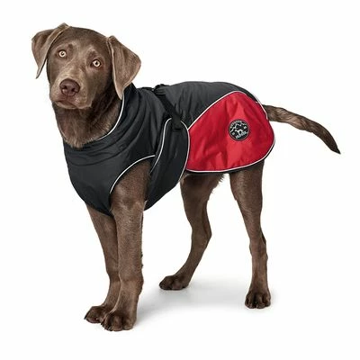 HUNTER Uppsala Cosy Dog Coat - Image 2