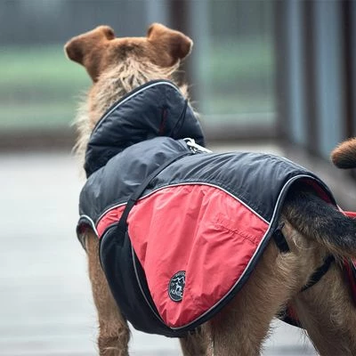 HUNTER Uppsala Cosy Dog Coat - Image 3