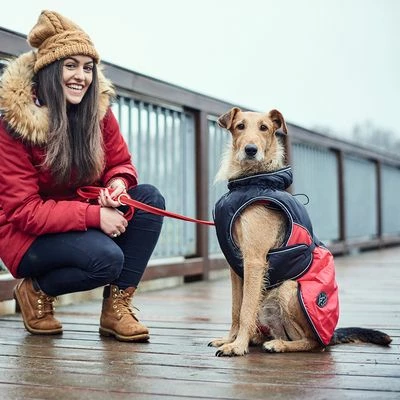 HUNTER Uppsala Cosy Dog Coat - Image 8