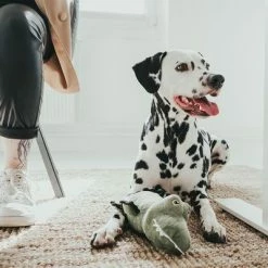 HUNTER Tough Toys Crocodile Dog Toy -Zooplus Sales Shop 212980 hunter hundespielzeug tough toys alligator hs 02 0