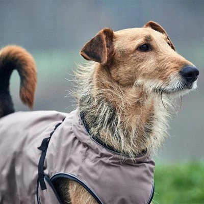 HUNTER Uppsala Dog Coat - Image 4