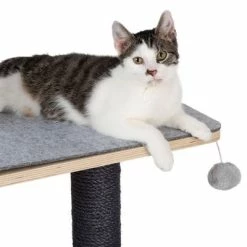 Raleigh Scratching Tree 17 Raleigh Scratching Tree -Zooplus Sales Shop 216199 kratzbaum raleigh fg 8247 8