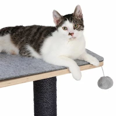 Raleigh Scratching Tree 10 Raleigh Scratching Tree - Image 8