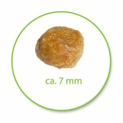 PURINA PRO PLAN Kitten Healthy Start - Rich In Chicken -Zooplus Sales Shop 2165 ppk kitten 4