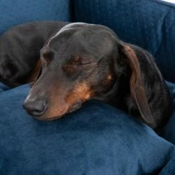 Bed Lublin With Pillow 13 Bed Lublin With Pillow -Zooplus Sales Shop 218997 hundebett lublin fg 8655 6