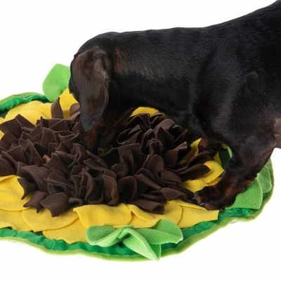 Sniffing Carpet Sunnyflower 10 Sniffing Carpet Sunnyflower - Image 8