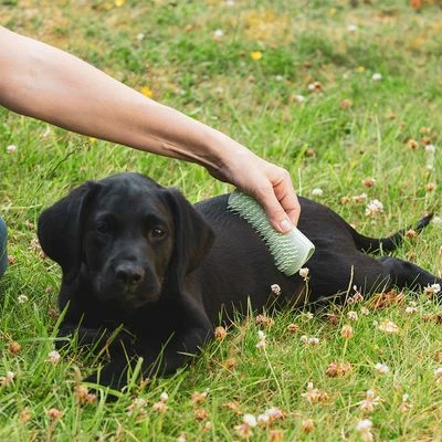 Pet Teezer Puppy Brush 5 Pet Teezer Puppy Brush - Image 3