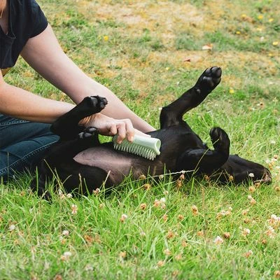 Pet Teezer Puppy Brush 8 Pet Teezer Puppy Brush - Image 6