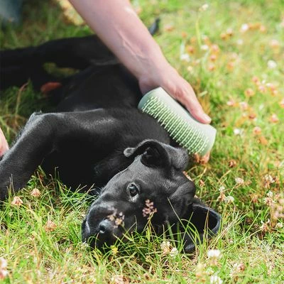 Pet Teezer Puppy Brush 9 Pet Teezer Puppy Brush - Image 7