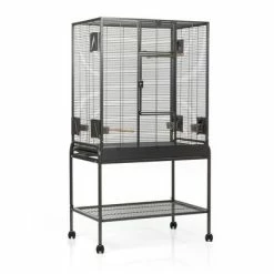 Birdcage Montana Madeira Single