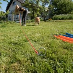 Agility Fun & Sport Slalom Set 14 Agility Fun & Sport Slalom Set -Zooplus Sales Shop 23798 agility fun sport slalom set fg 4 3