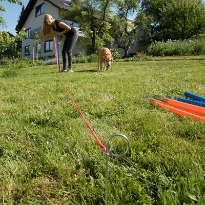 Agility Fun & Sport Slalom Set 7 Agility Fun & Sport Slalom Set - Image 5