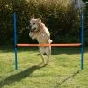 Agility Fun & Sport Hurdle -Zooplus Sales Shop 23799 agility fun sport huerde fg 10 9