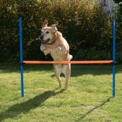 Agility Fun & Sport Hurdle