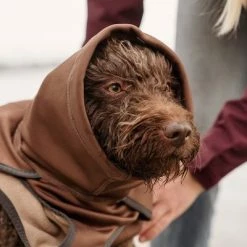 Hurtta Bare Softshell Dog Coat - Chocolate -Zooplus Sales Shop 247796 247797 247896 247897 247898 247899 bestfriend hurtta bare softshell hundejacke chocolate hs 13 6 1