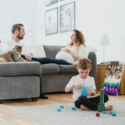 Intersand Classic Pine Forest Scented Cat Litter -Zooplus Sales Shop 248818 intersand classic katzenstreu pinienwald hs 05 8