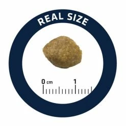 Advance Veterinary Diets Urinary -Zooplus Sales Shop 249896 affinityspain advance veterinarydiets urinary hs 05 4