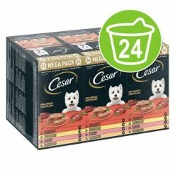 Cesar Trays Multipacks