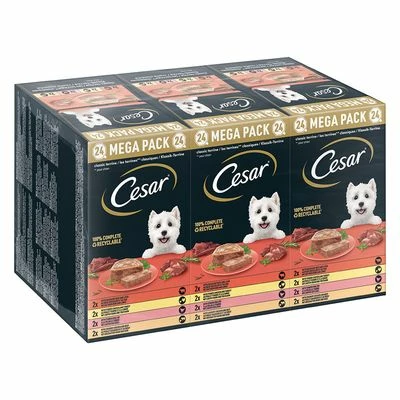 Cesar Trays Multipacks - Image 2