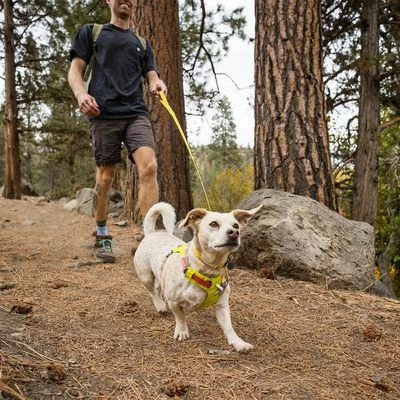 RUFFWEAR Hi & Light Leash 5 RUFFWEAR Hi & Light Leash - Image 3