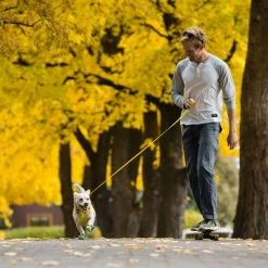 RUFFWEAR Hi & Light Leash 17 RUFFWEAR Hi & Light Leash -Zooplus Sales Shop 262501 accapi ruffwear hi light leash lichengreen hs 13 5