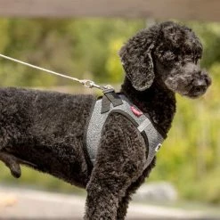 Curli Ultra Strong Pocket Leash -Zooplus Sales Shop 267896 267897 ultrastarke taschenleine hs 05 3