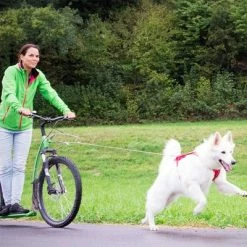 Curli Ultra Strong Pocket Leash -Zooplus Sales Shop 267896 267897 ultrastarke taschenleine hs 07 2