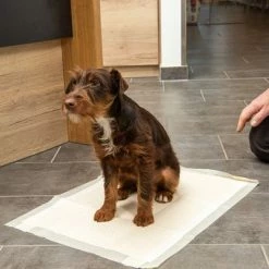 Kooa Training Pad With Bamboo For Puppies -Zooplus Sales Shop 272296 trainingsunterlage l mit welpe fg 6077 0