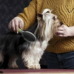 Moser Double Sided Coat Grooming Brush -Zooplus Sales Shop 289796 moser beidseitige fellpflegebuerste hs 02 1