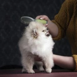 Moser Double Sided Coat Grooming Brush -Zooplus Sales Shop 289796 moser beidseitige fellpflegebuerste hs 03 3